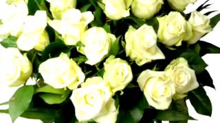 клип королева песня букет из белых роз
